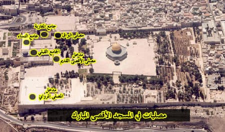 المصليات في المسجد الأقصى