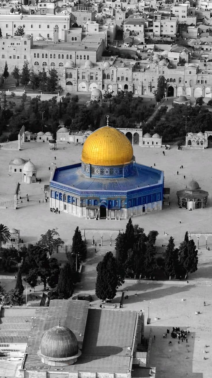 المستوى الخامس 🧩