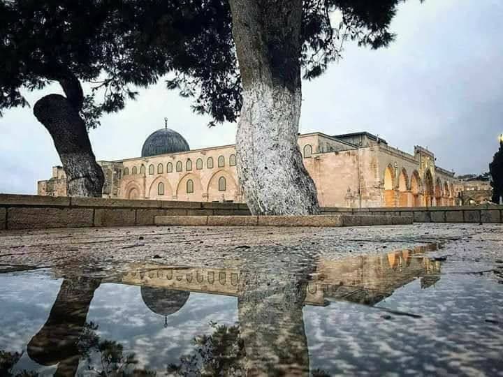 المستوى السادس 🧩