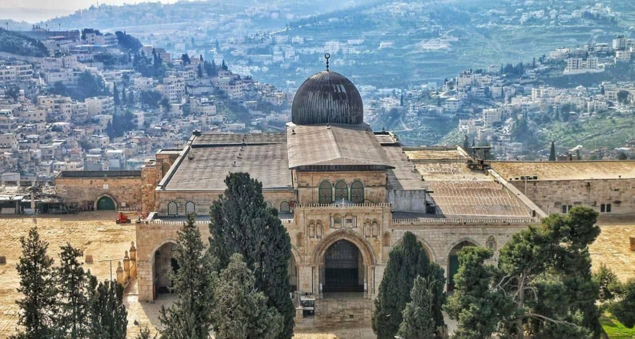 المستوى السابع 🧩